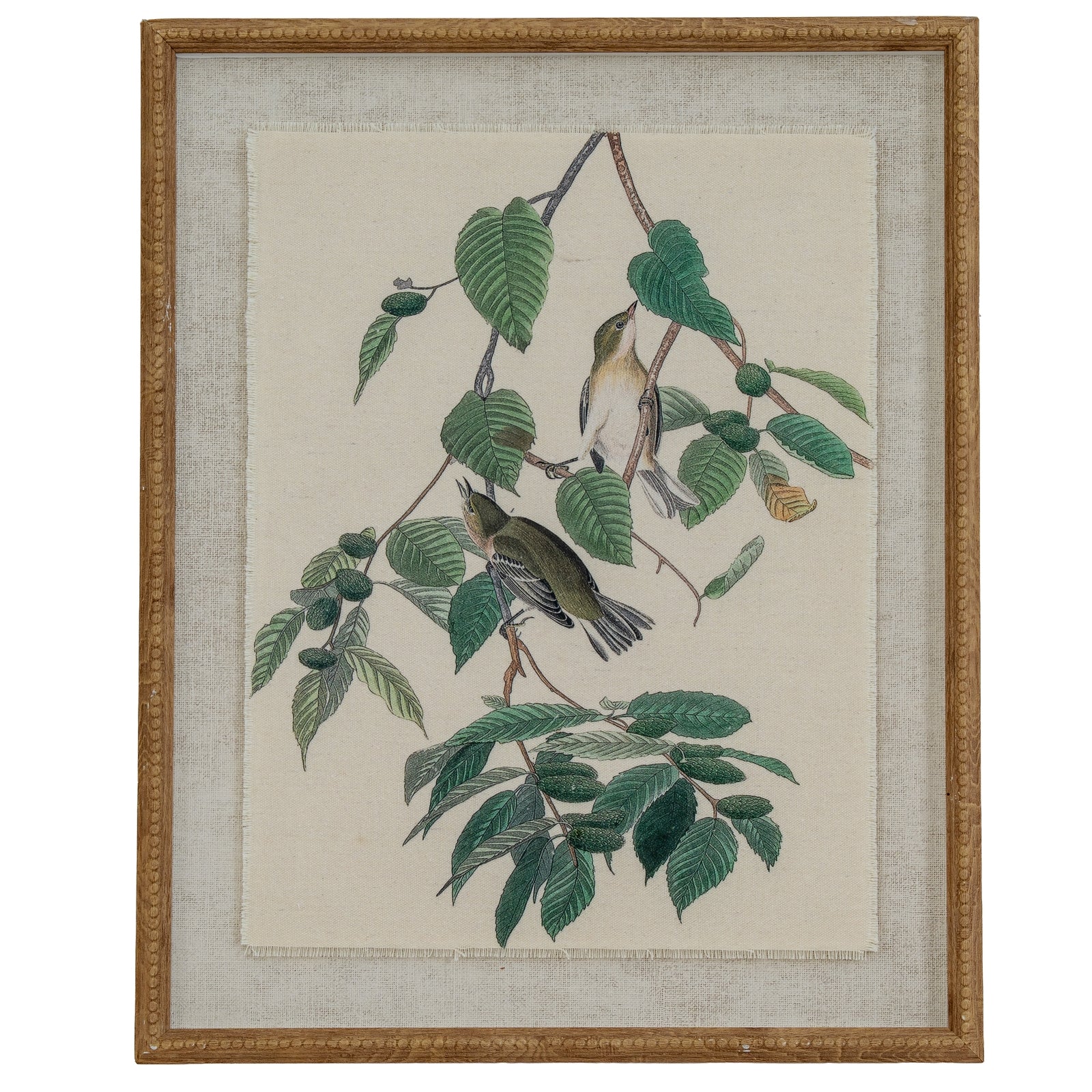 Flora & Fauna Collection Warblers On Linen In Beaded Frame_3819