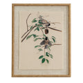 Flora & Fauna Collection Chickadees On Linen In Beaded Frame_3773