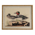 Flora & Fauna Collection Teals On Linen In Beaded Frame_3817