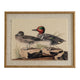 Flora & Fauna Collection Teals On Linen In Beaded Frame_3817