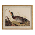 Flora & Fauna Collection Duck On Linen In Beaded Frame_3778