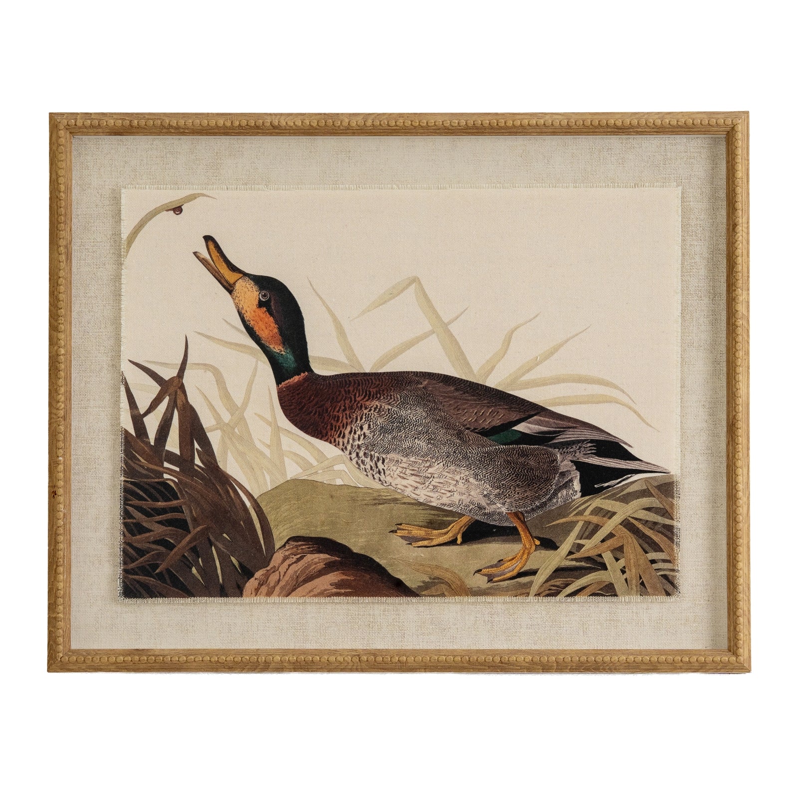 Flora & Fauna Collection Duck On Linen In Beaded Frame_3778
