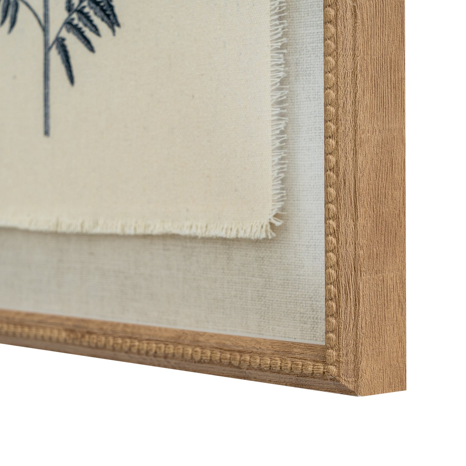 Flora & Fauna Collection Beech Fern On Linen In Beaded Frame_3768