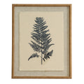 Flora & Fauna Collection Beech Fern On Linen In Beaded Frame_3767