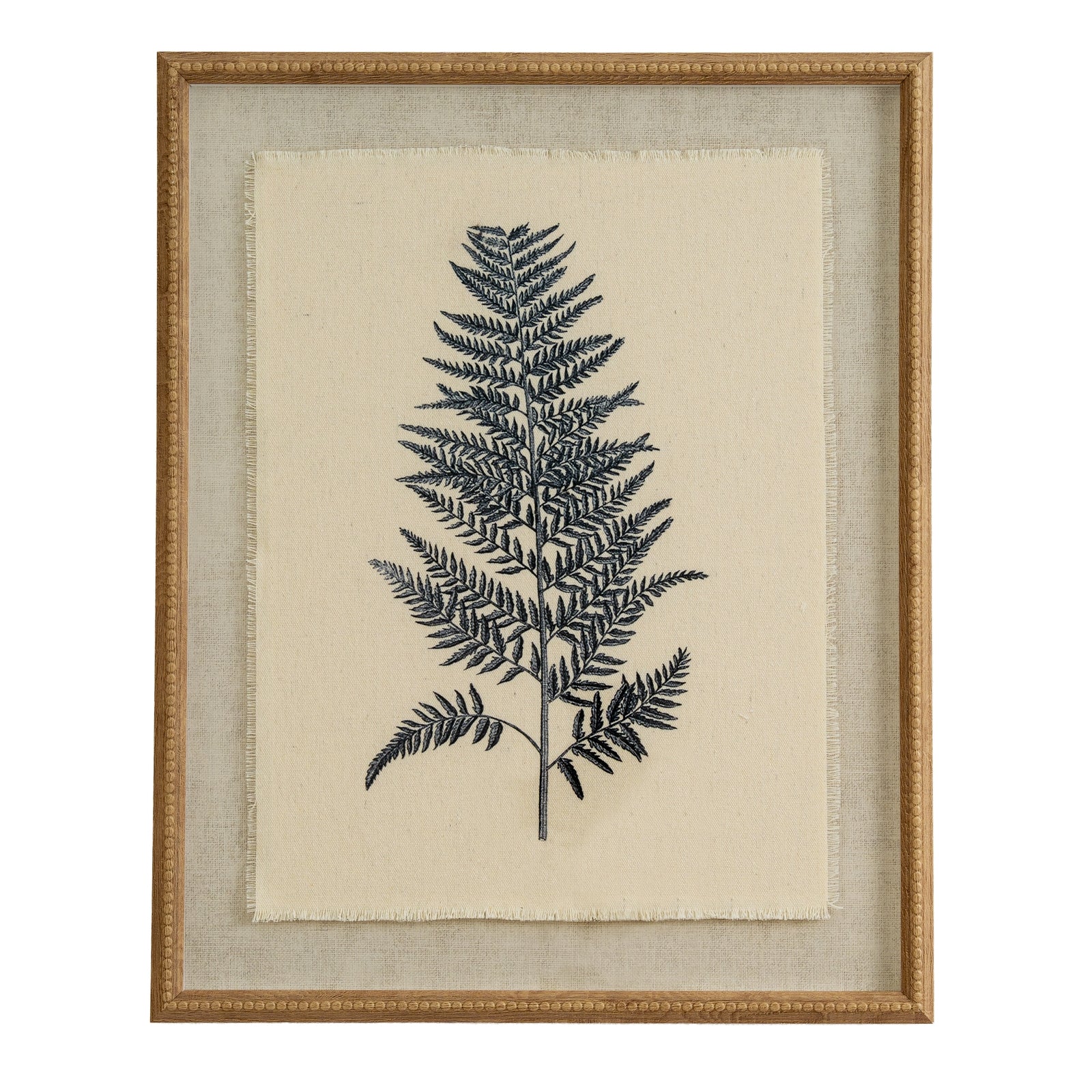 Flora & Fauna Collection Beech Fern On Linen In Beaded Frame_3767