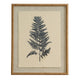 Flora & Fauna Collection Beech Fern On Linen In Beaded Frame_3767