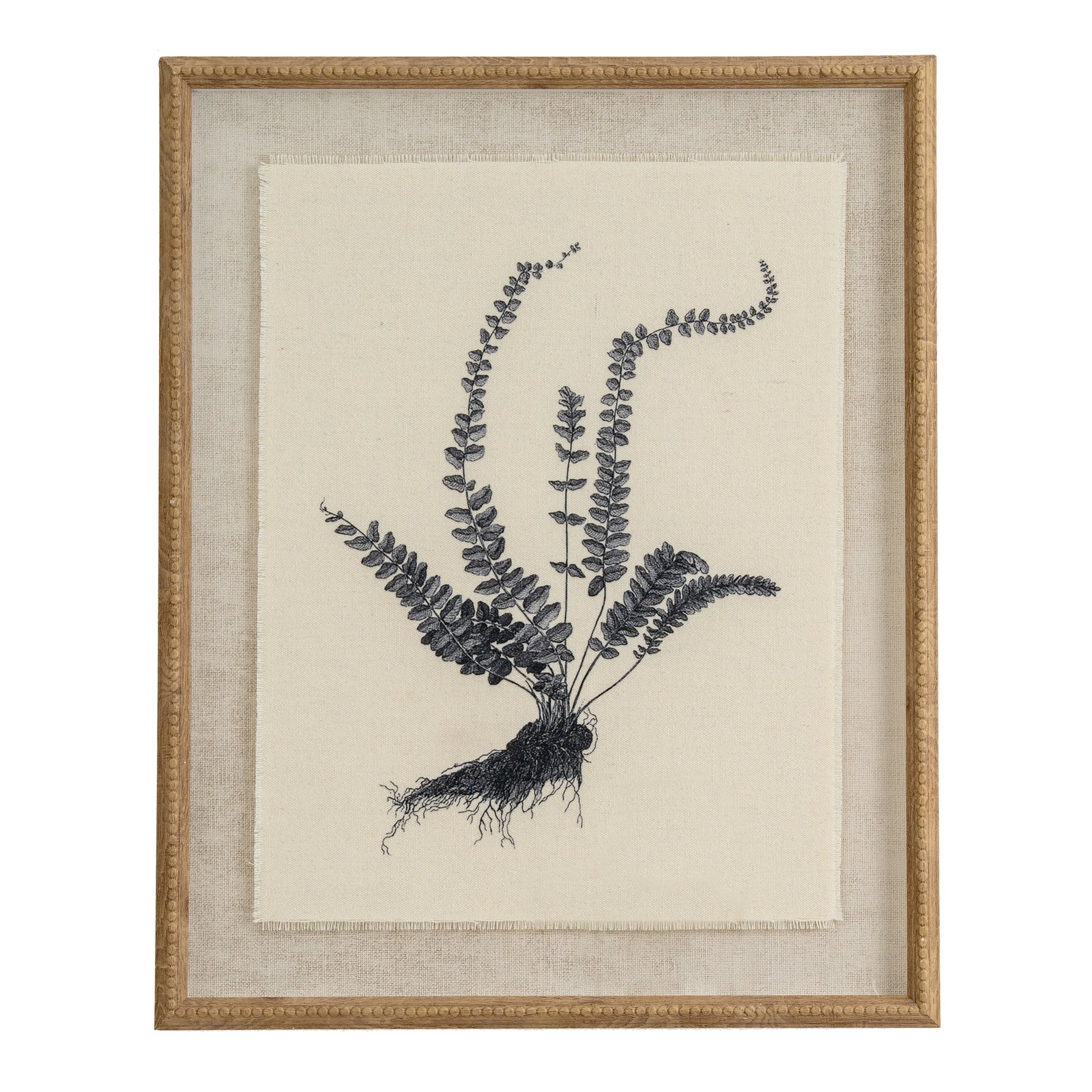 Flora & Fauna Collection Spleenwort On Linen In Beaded Frame_3812