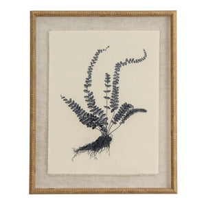Flora & Fauna Collection Spleenwort On Linen In Beaded Frame_3812