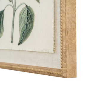 Flora & Fauna Collection Salvia On Linen In Beaded Frame_3802
