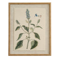 Flora & Fauna Collection Salvia On Linen In Beaded Frame_3801