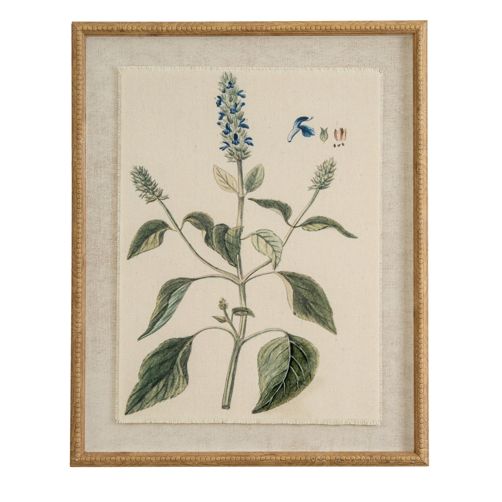 Flora & Fauna Collection Salvia On Linen In Beaded Frame_3801