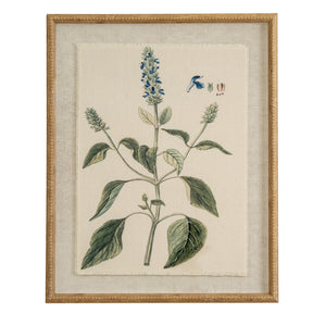 Flora & Fauna Collection Salvia On Linen In Beaded Frame_3801