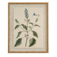 Flora & Fauna Collection Salvia On Linen In Beaded Frame_3801