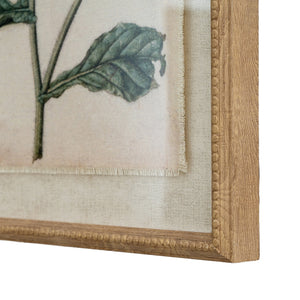 Flora & Fauna Collection Borage On Linen In Beaded Frame_3771