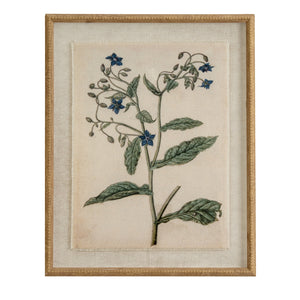 Flora & Fauna Collection Borage On Linen In Beaded Frame_3770