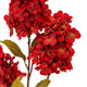 Dark Red Spear Hydrangea Spray_4728