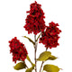 Dark Red Spear Hydrangea Spray_4726