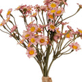 Daisy Bunch_5381