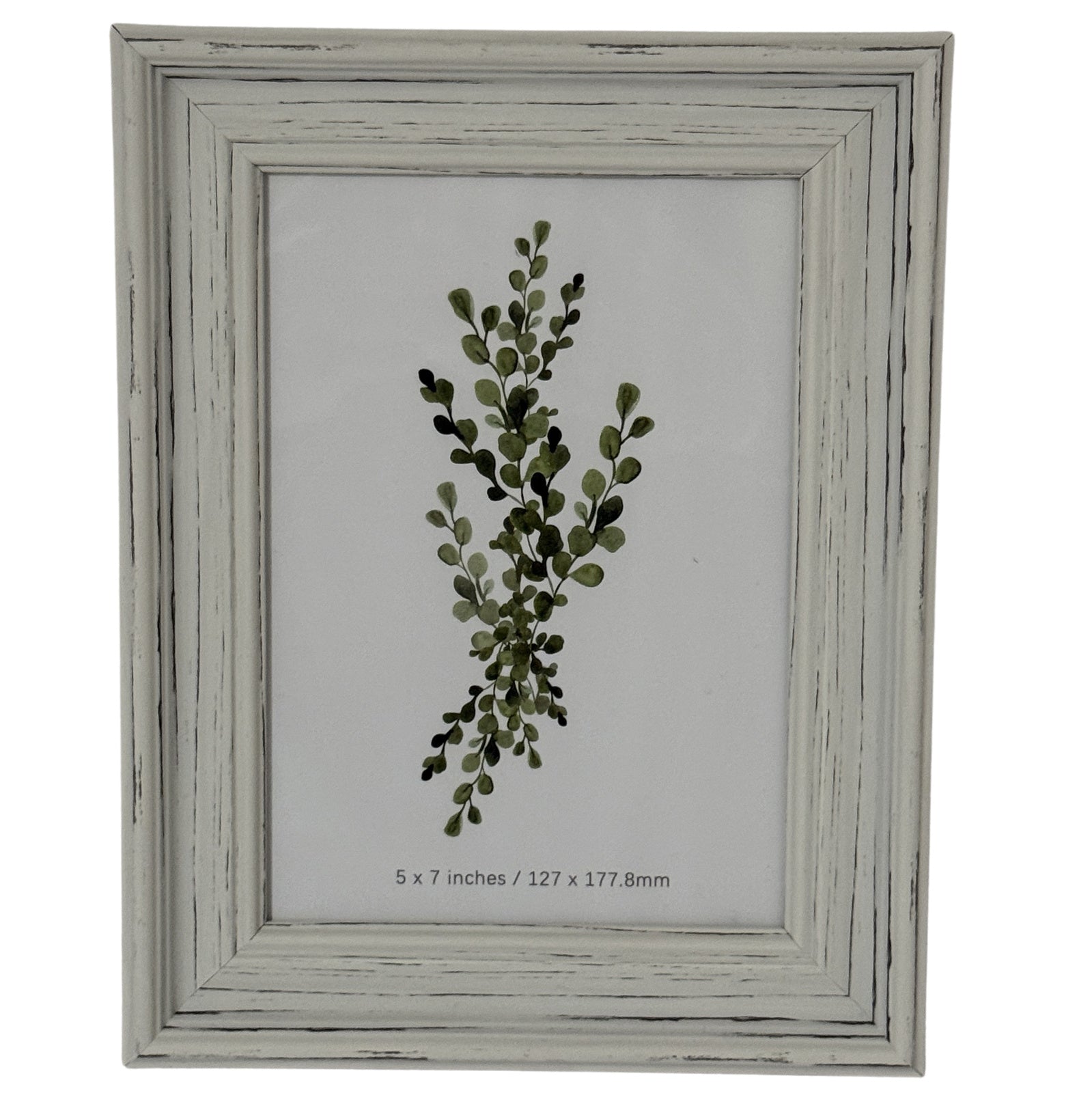 Alba Photo Frame 5X7 [cid:24633-a]