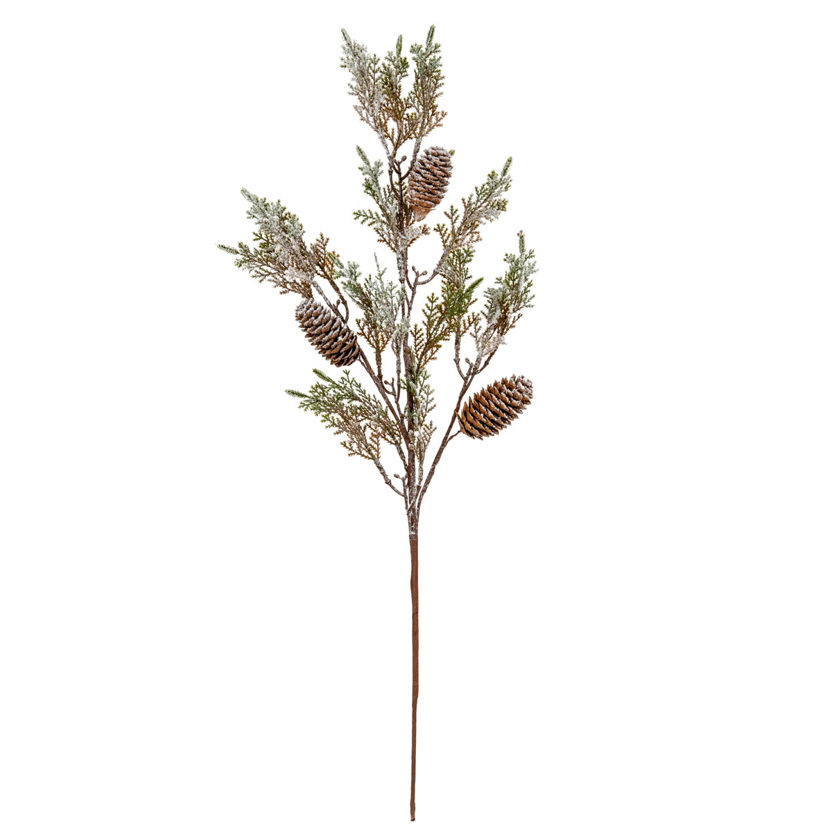 Medium Frosted Cypress Fir Branch Spray With Pinecones [cid:ce03b45ad2e23c76e3d53a22eda86173]