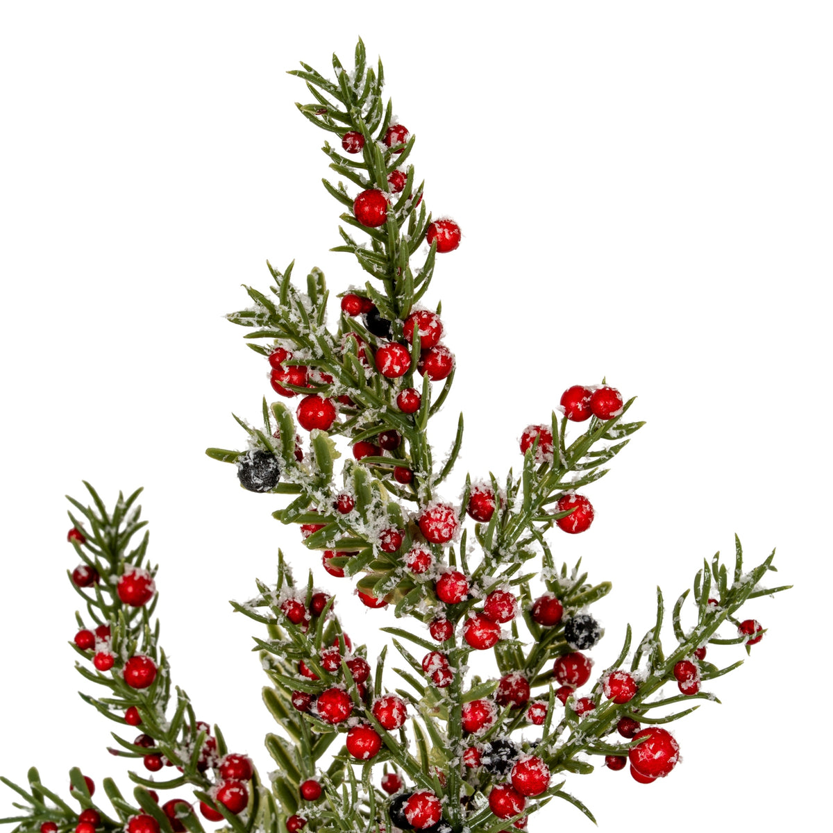 Medium Frosted Winter Berry Tree On Wooden Block [cid:bcfd81710ab44e349f003a22eda88b3d]