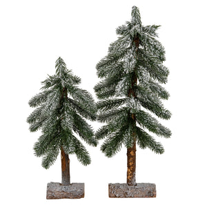 Small Snowy Pine Tree On Wooden Stand [cid:9303776e4276a9a4d6153a22eda8754b]