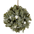 Frosted Mistletoe Ball Decoration [cid:9039a01ddb766d0f7a403a22eda8be93]