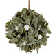 Frosted Mistletoe Ball Decoration [cid:9039a01ddb766d0f7a403a22eda8be93]