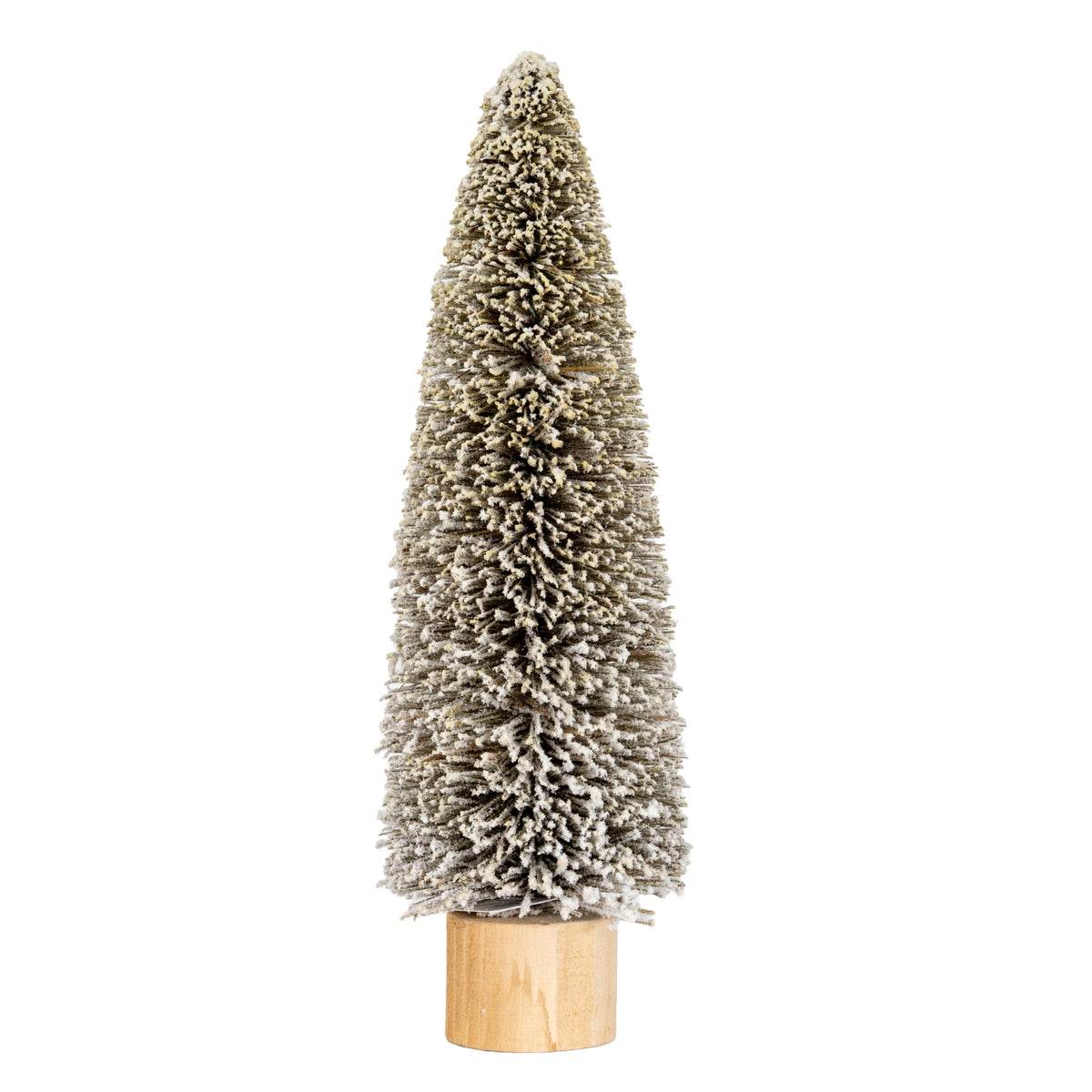 Large Cone Brush Tree [cid:1fdfeb4b8e6d5010527b3a22eda85dd8]