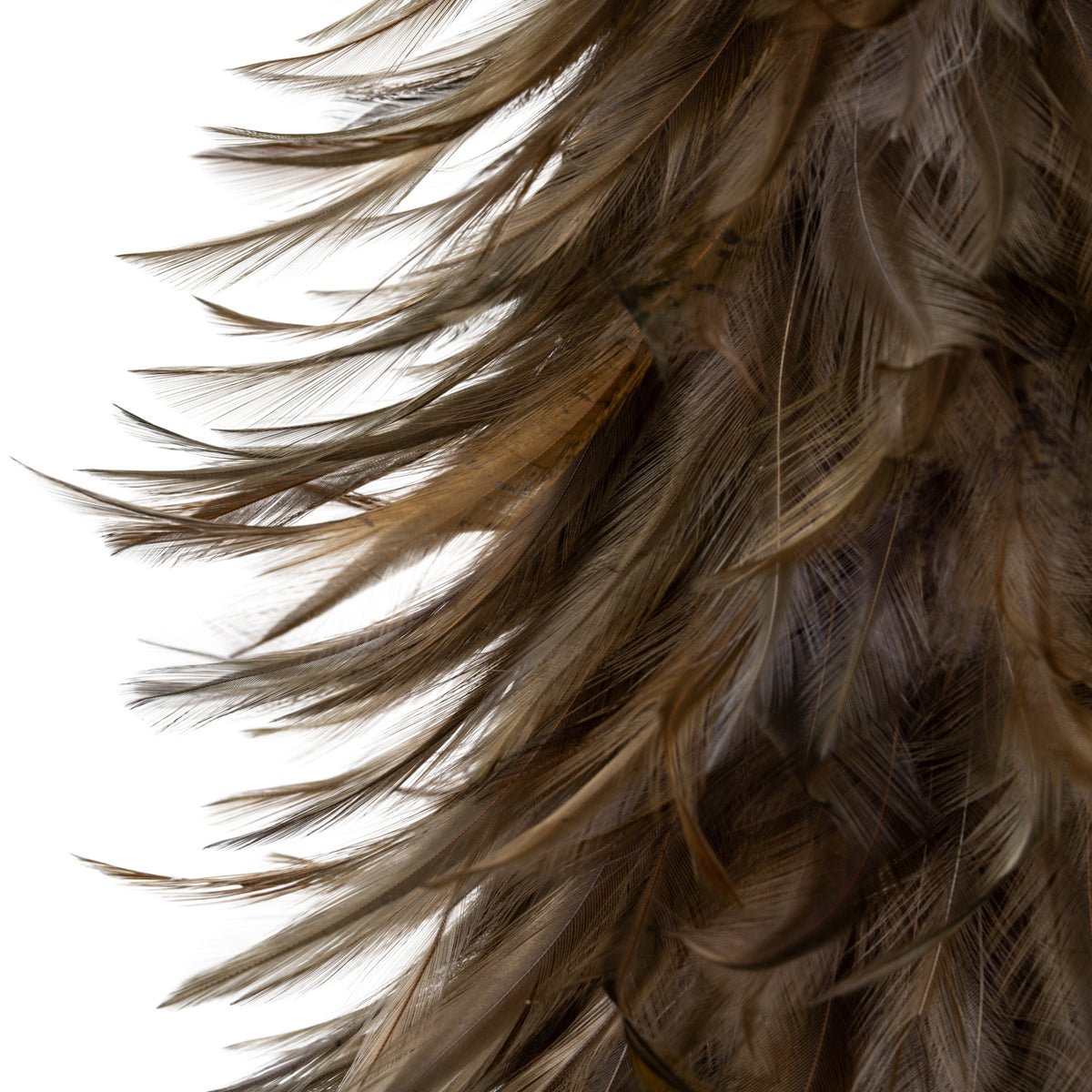 Large Fawn Feather Tree [cid:4eaee9f8781def23a2c13a22eda8b56c]