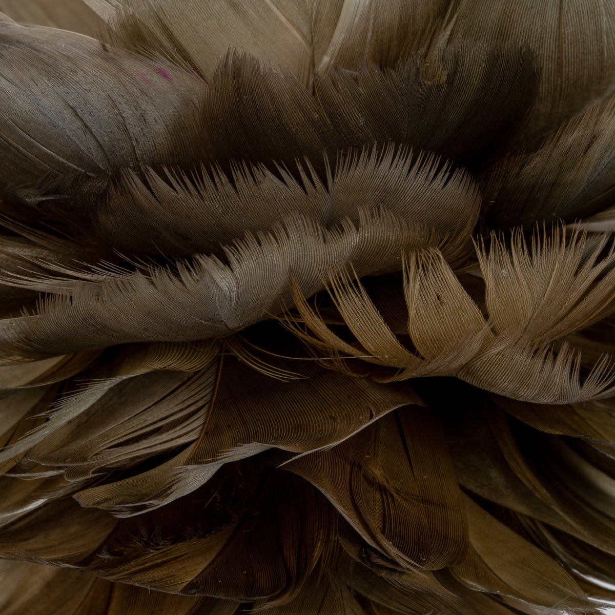 Medium Fawn Feather Ball Decoration [cid:516feca29a9763d446f33a22eda8ec54]