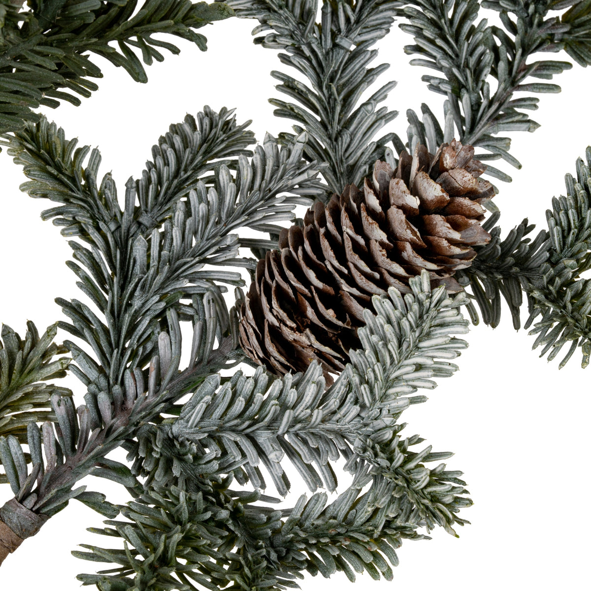 Woodland Pine Tall Stem With Pinecones [cid:6b324e9c94f26af51f263a22eda897ee]