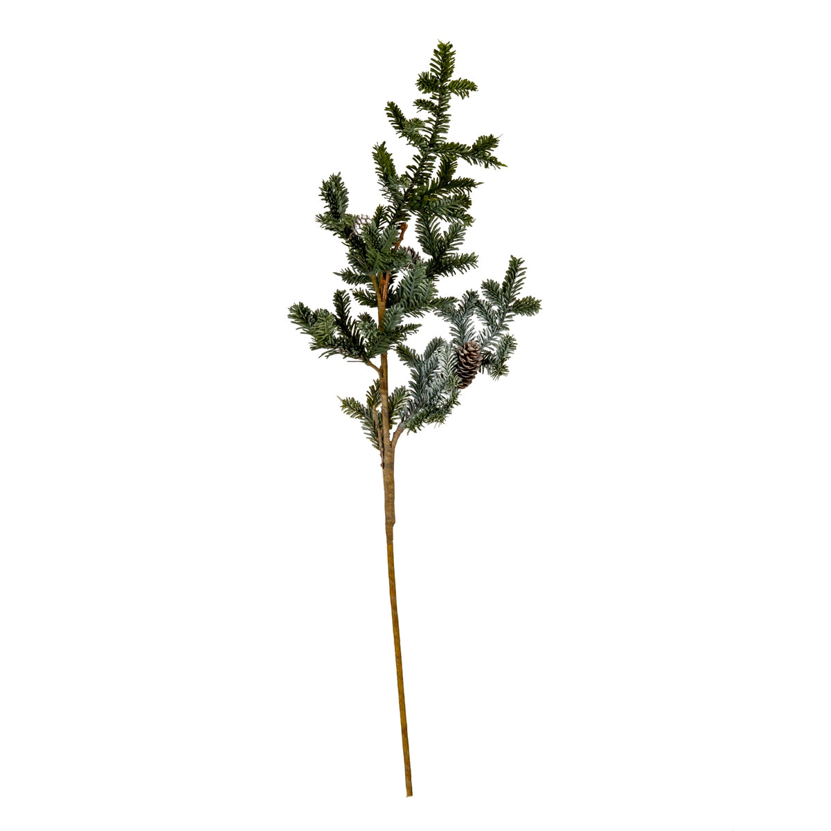 Woodland Pine Tall Stem With Pinecones [cid:bbeb5054863d4469056c3a22eda897dd]