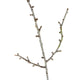 Snowy Winter Woodland Branch [cid:ea93845fe77bbad176fc3a22eda8625f]