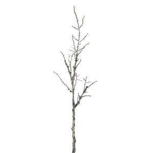 Snowy Winter Woodland Branch [cid:afd26c78958db79494e23a22eda86250]