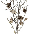 Snowy Winter Woodland Branch With Pinecones [cid:78929bda966749b983073a22eda8b82b]