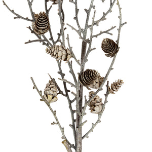 Snowy Winter Woodland Branch With Pinecones [cid:78929bda966749b983073a22eda8b82b]