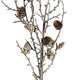 Snowy Winter Woodland Branch With Pinecones [cid:78929bda966749b983073a22eda8b82b]