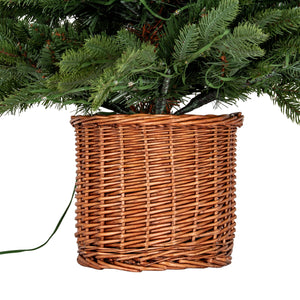 Norway Fir Pre-Lit LLED 300L  Fir Tree In Rattan Pot [cid:cfa3328e950f94f721343a22eda8f26b]