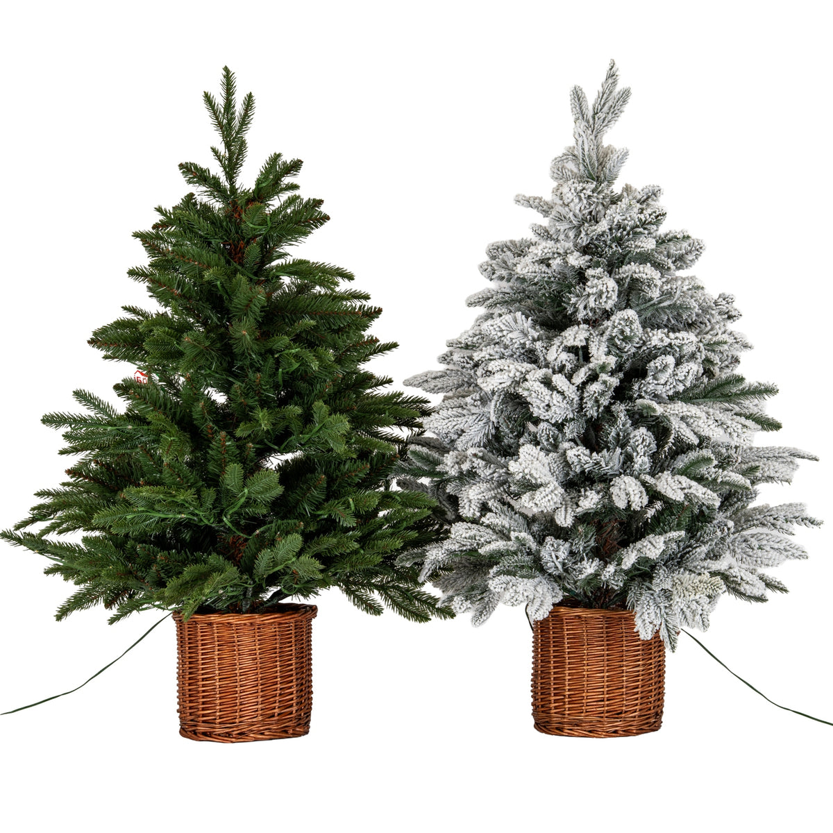 Snowy Norway Fir Pre-Lit Led 300L Fir Tree In Rattan Pot [cid:189942d467f67b3162183a22eda86661]