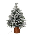 Snowy Norway Fir Pre-Lit Led 300L Fir Tree In Rattan Pot [cid:e989da0bfaaac8d3d1cd3a22eda86622]