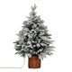 Snowy Norway Fir Pre-Lit Led 300L Fir Tree In Rattan Pot [cid:e989da0bfaaac8d3d1cd3a22eda86622]