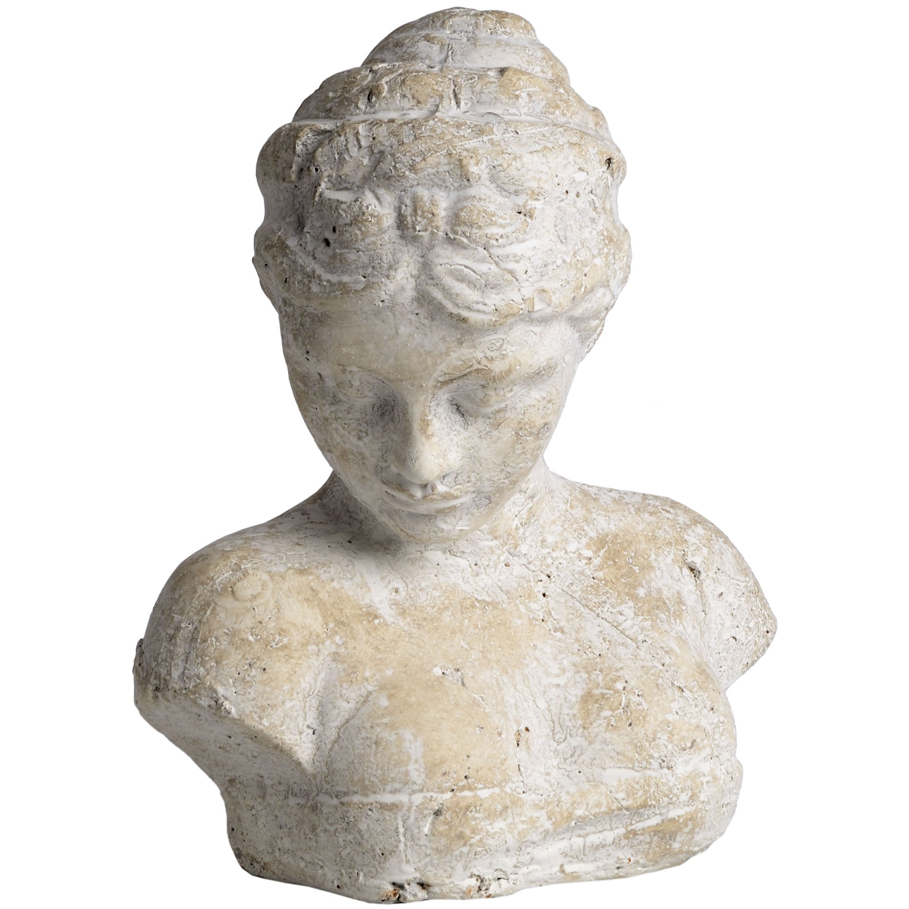 Woman's Head Icon_3672