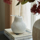 Stone Pear (Small)_3362