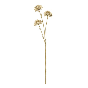 Brown Allium Spray [cid:23831]
