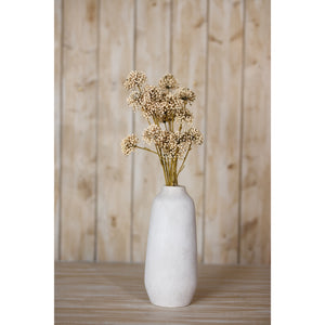 Brown Allium Spray [cid:23831-c]