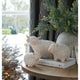 Alora Ceramic Highland Cow_1827