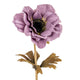 Purple Anemone Stem_5420