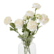 The Natural Garden Collection Ranunculus_5604