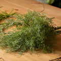 Asparagus Fern Bunch_4383